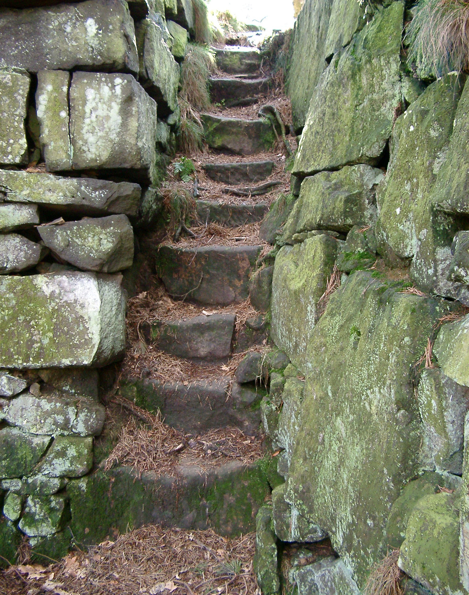 an image of Narrow natural stone steps on a footpath leading between two old weathered drystone walls covered in green mold and moss