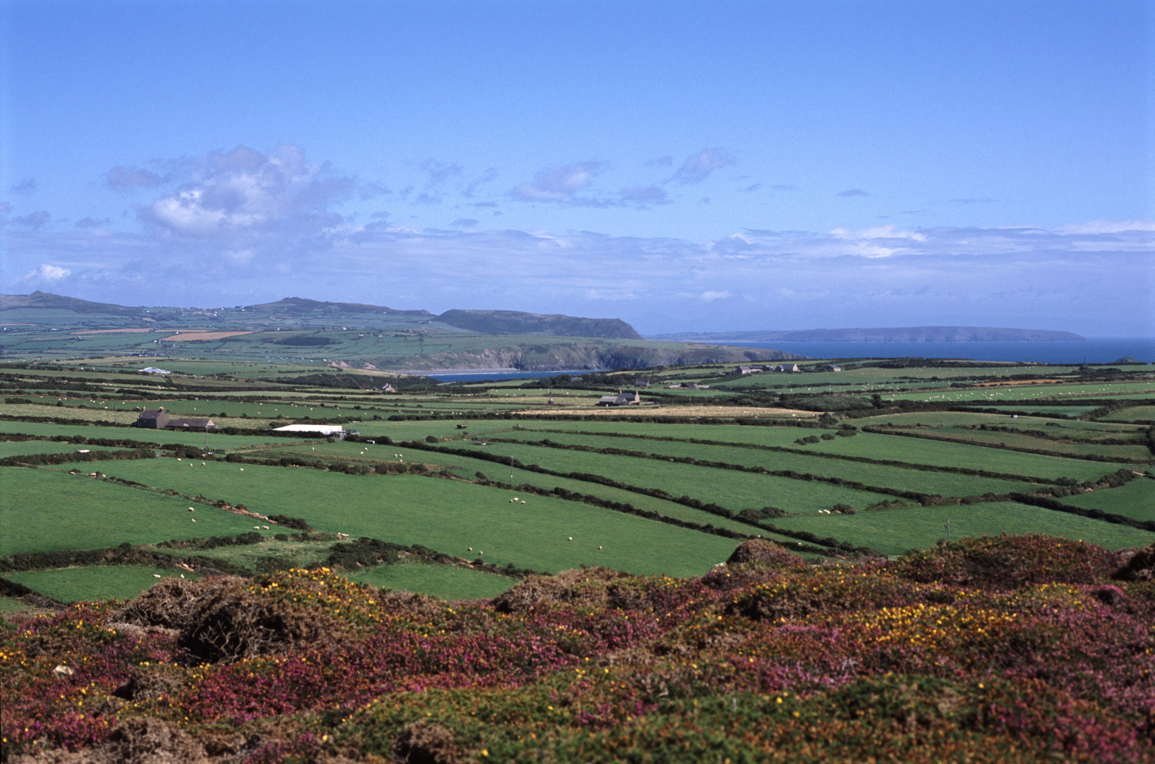 an image of Scenic agricultural landscape with a patchwork of lush green corn fields on the Llyn peninsula overlooking the Irish Sea