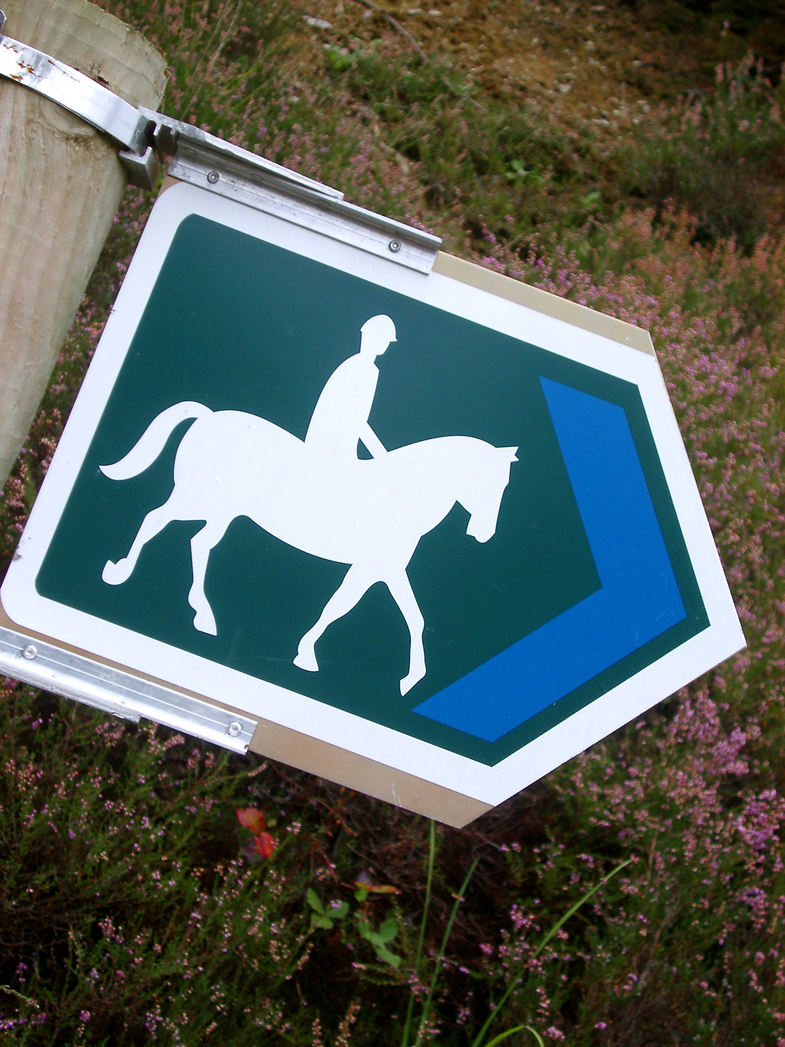 an image of Bridal Path sign with a right pointing arrow and white silhouetted figure of a person on horseback attached to a wooden pole outdoors