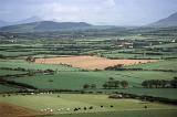 Patchwork of lush green Welsh fields and pastures with grazing livestock on the Llyn Peninsula bordering the Irish Sea