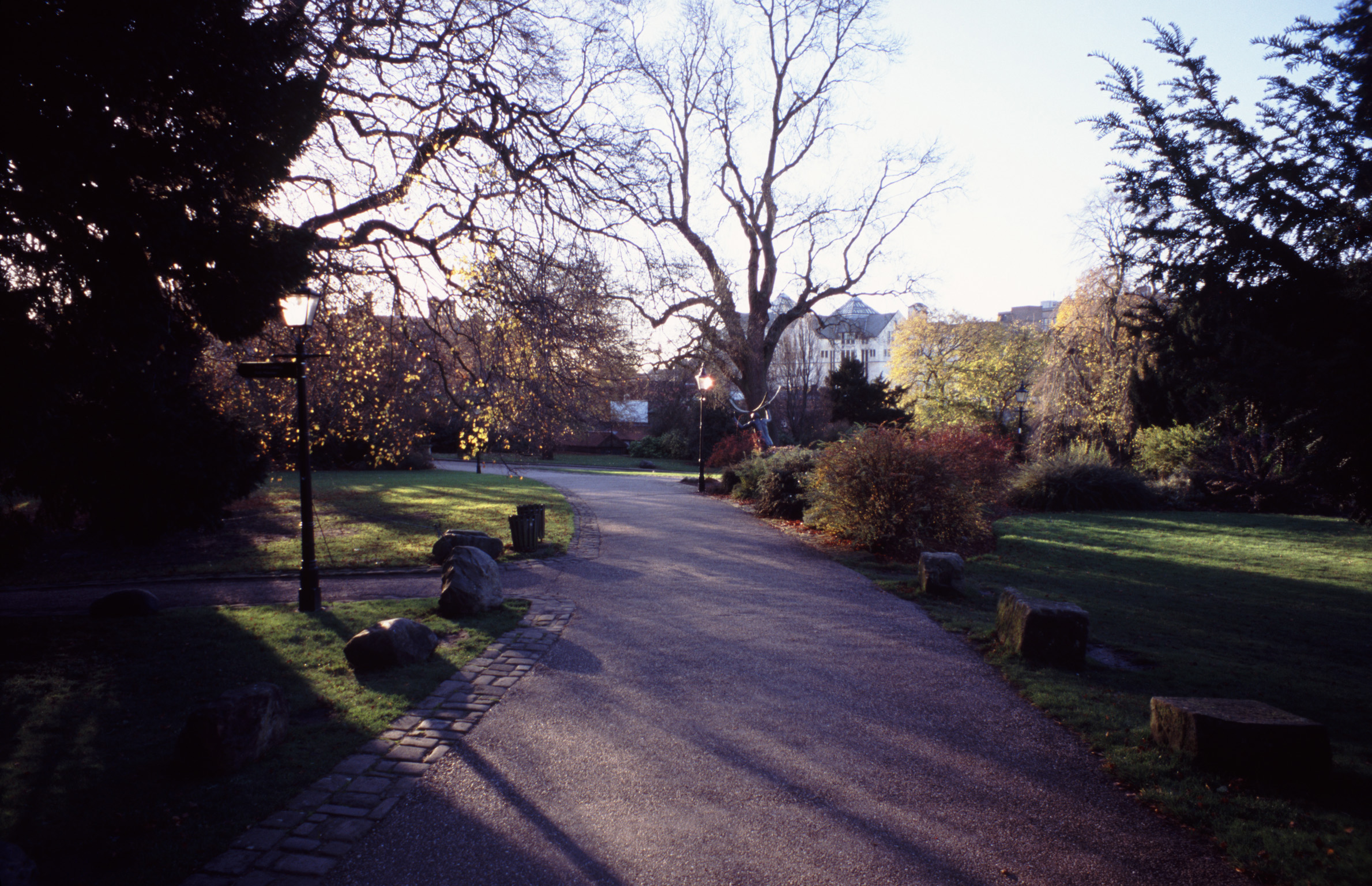 an image of Pathway through the public park in York on a restful evening with long shadows cast by the leafless deciduous trees with their tracery of bare branches