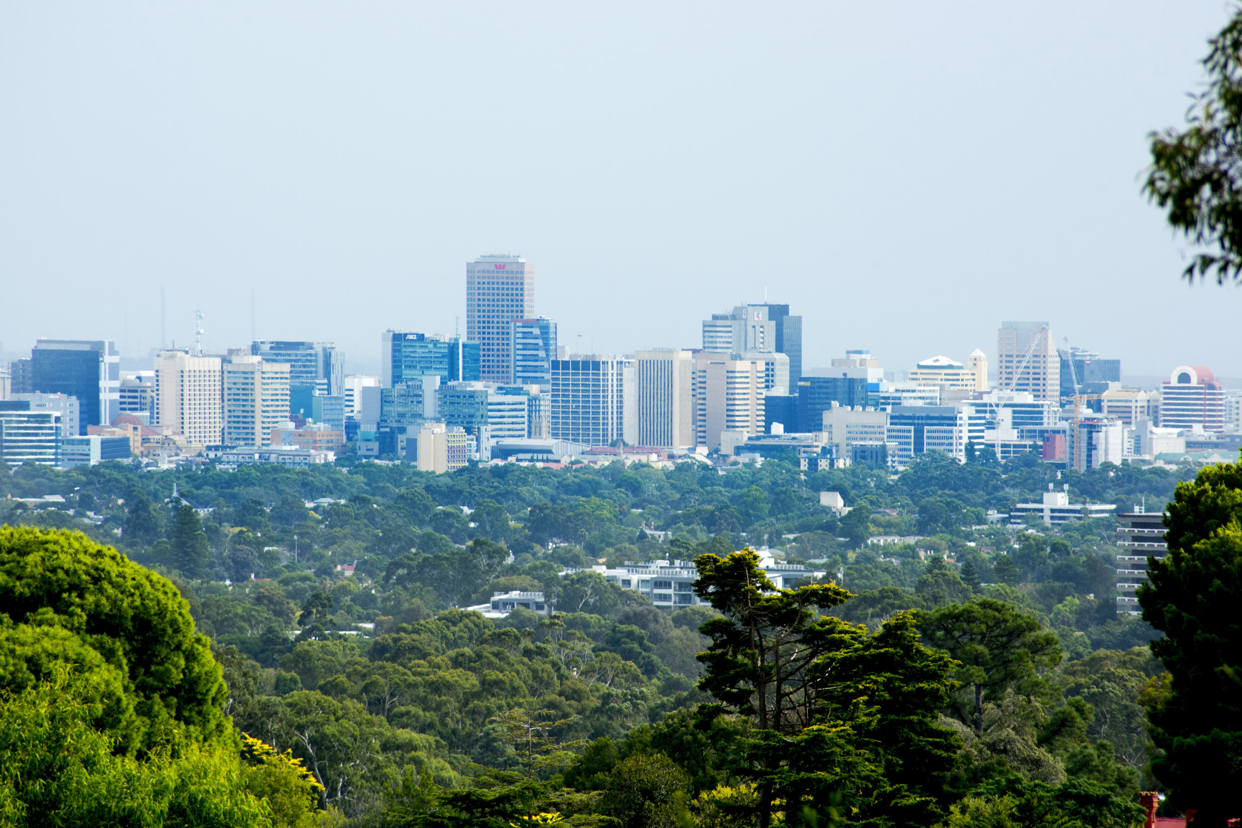 an image of A panoramic view from the lush forest of the Adelaide hills over the tall skyscrapers of the city centre.