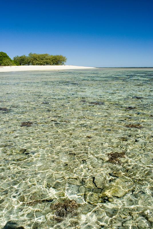 Crystal clear water over tropical coral beside a beautiful, deserted beach on the Great Barrier Reef in Australia.