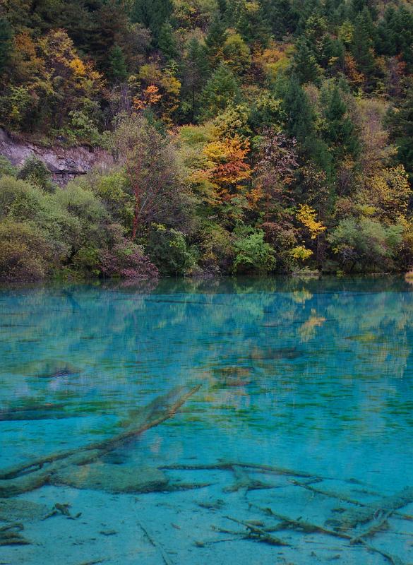 Beautiful Natural Cyan Blue Lake with Nice View of Assorted Trees Located in China
