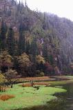 Natural scenic beauty in China with a view of a mountain valley with forested slopes and a clean peaceful swamp below