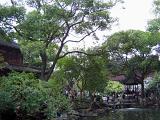 Tall Green Trees and Traditional Structures at Chinese Gardens in Shanghai