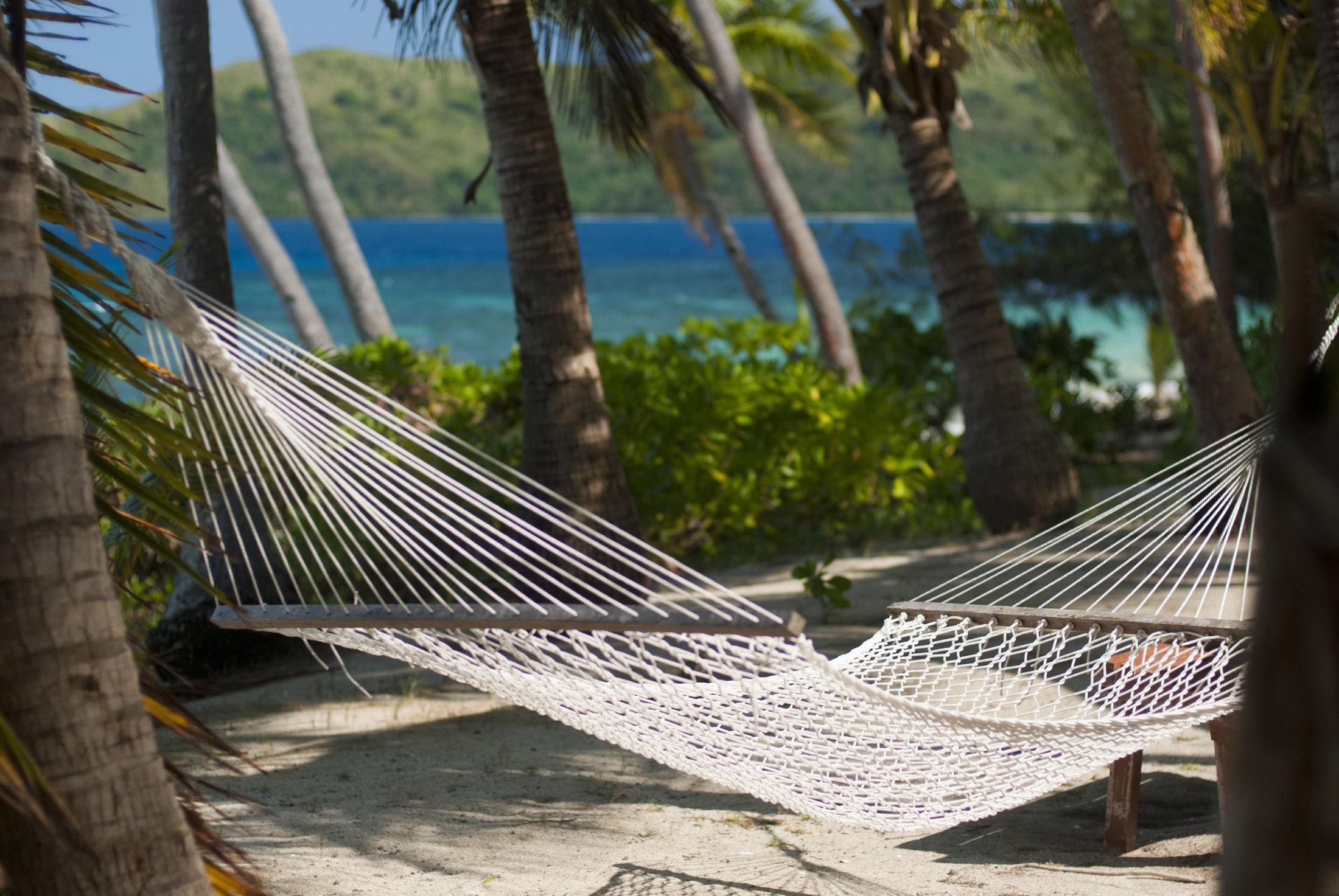 an image of Empty hammock strung from palm trees overlooking a blue ocean on an idyllic tropical island