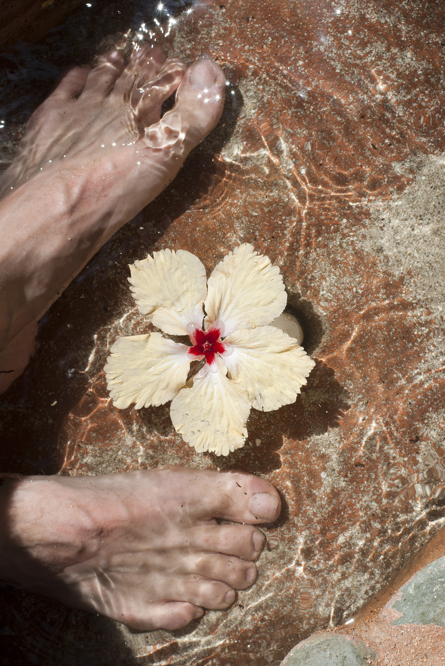 an image of Looking down at a mans feet in a natural rocky Fijian foot bath with a floating hibiscus flower