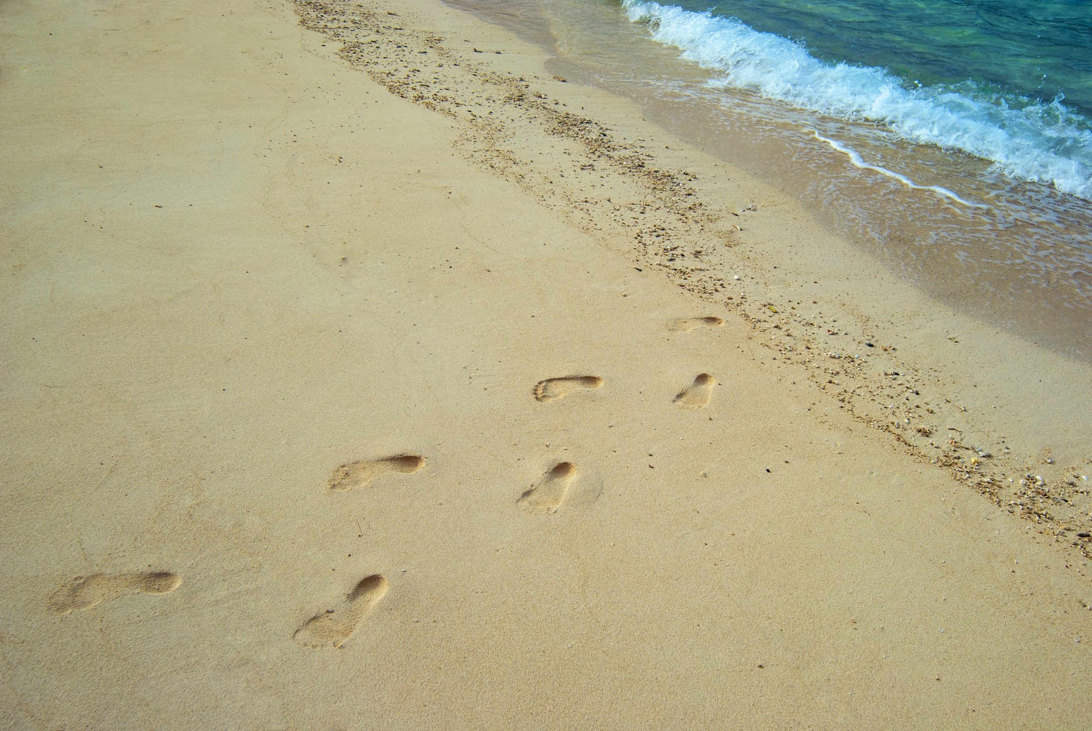 an image of Footprints leading out of the sea across the golden sandy beach conceptual of a summer vacation in the tropics