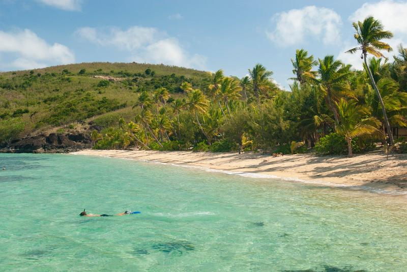 Man snorkeling in the clear water off a tropical bay with golden sand and palm trees