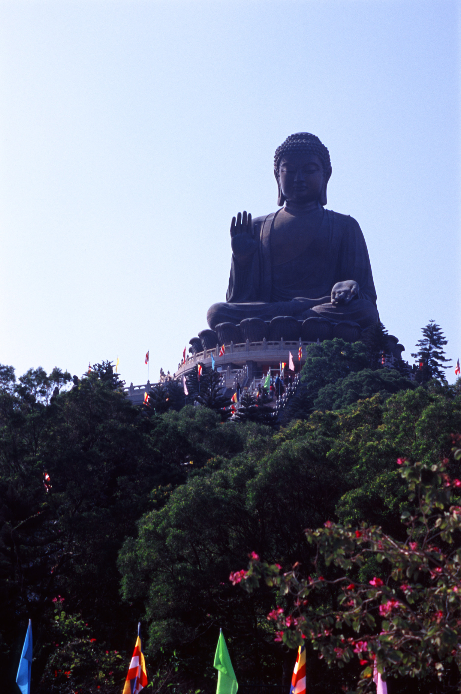 an image of Famous Vintage Big Tian Tan Buddha Structure in Lantau Island, Hong Kong. Surrounded by Tall Green Trees.