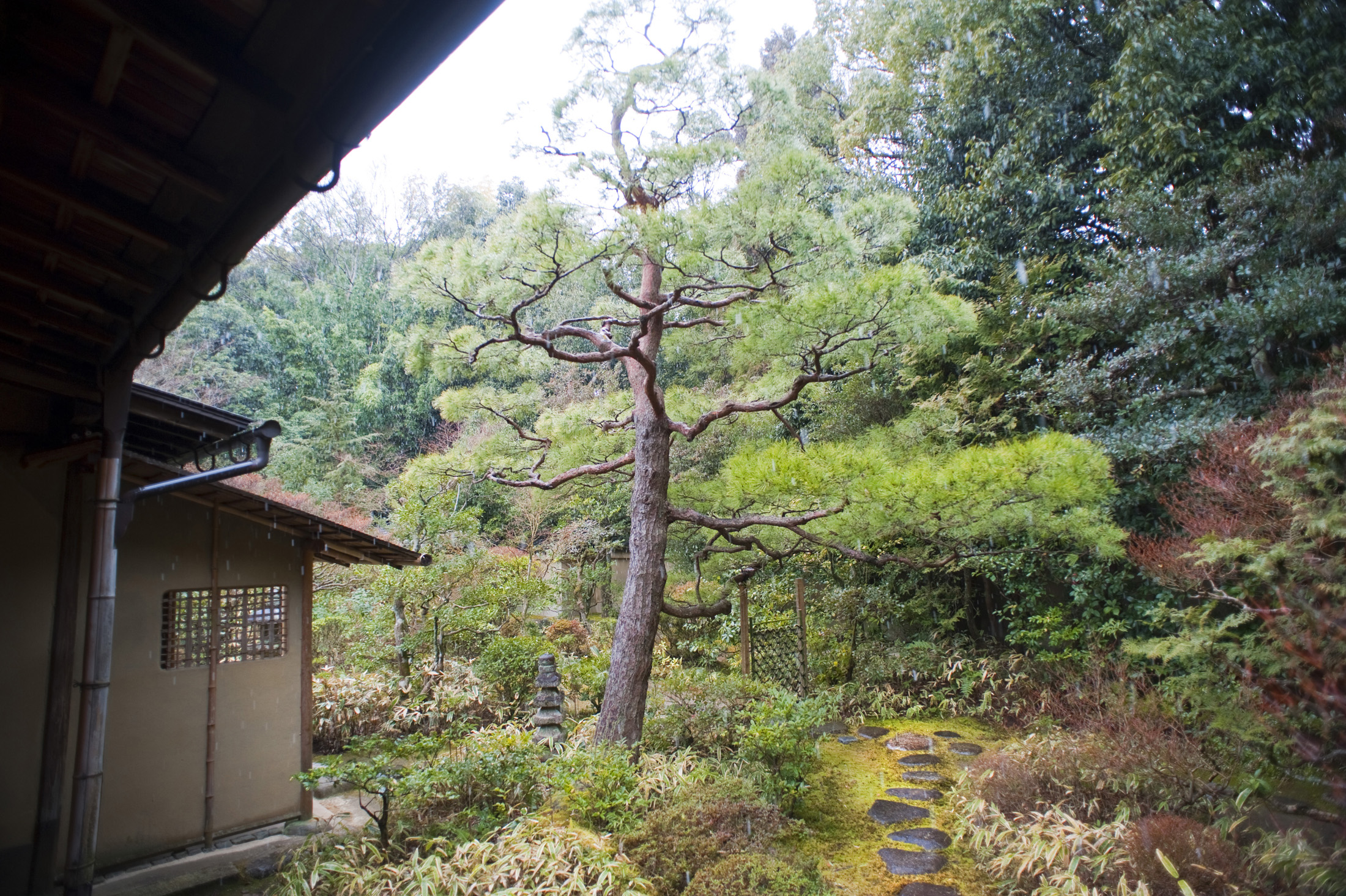 an image of Gardens of the Koto-in sub temple of Daitoku-ji in Kyoto, Japan