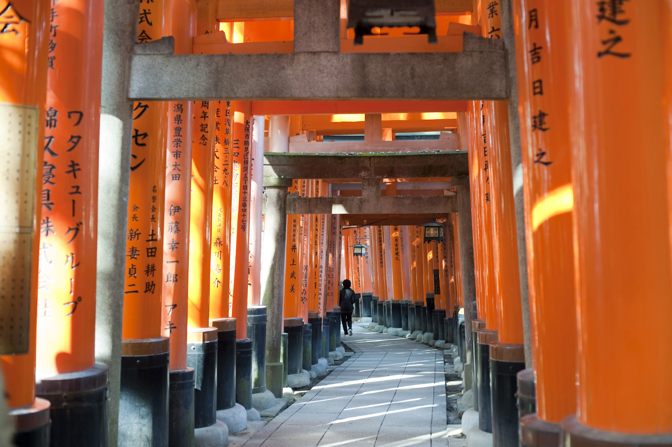 an image of a long tunnel of torii gates at the Fushimi Inari-taisha shrine