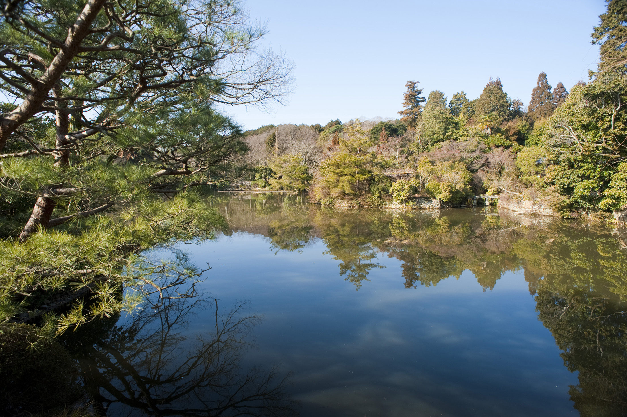 an image of Reflecton on a blue sky in the Kyoyochi Pond at RyoÂan-ji Temple, Kyoto, Japan
