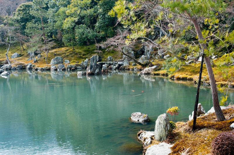 The SoÂgen Pond created by MusÃÂ Soseki, Tenryu-ji temple, kyoto japan
