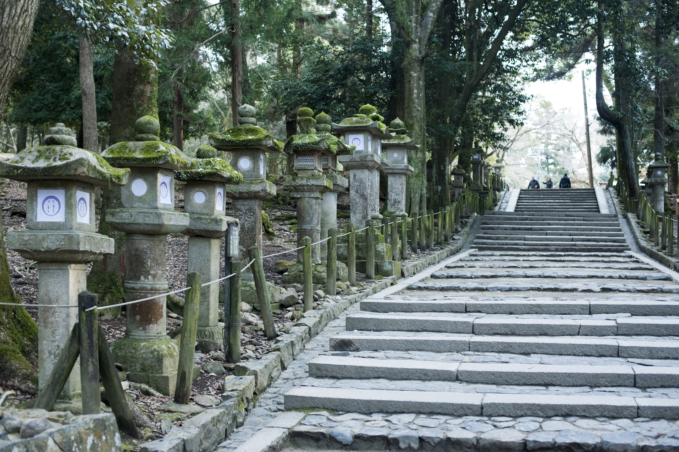 an image of Avenue of stone Kasuga-doro lanterns, Nara, Japan