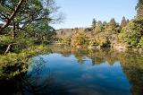 Reflecton on a blue sky in the Kyoyochi Pond at RyoÂan-ji Temple, Kyoto, Japan
