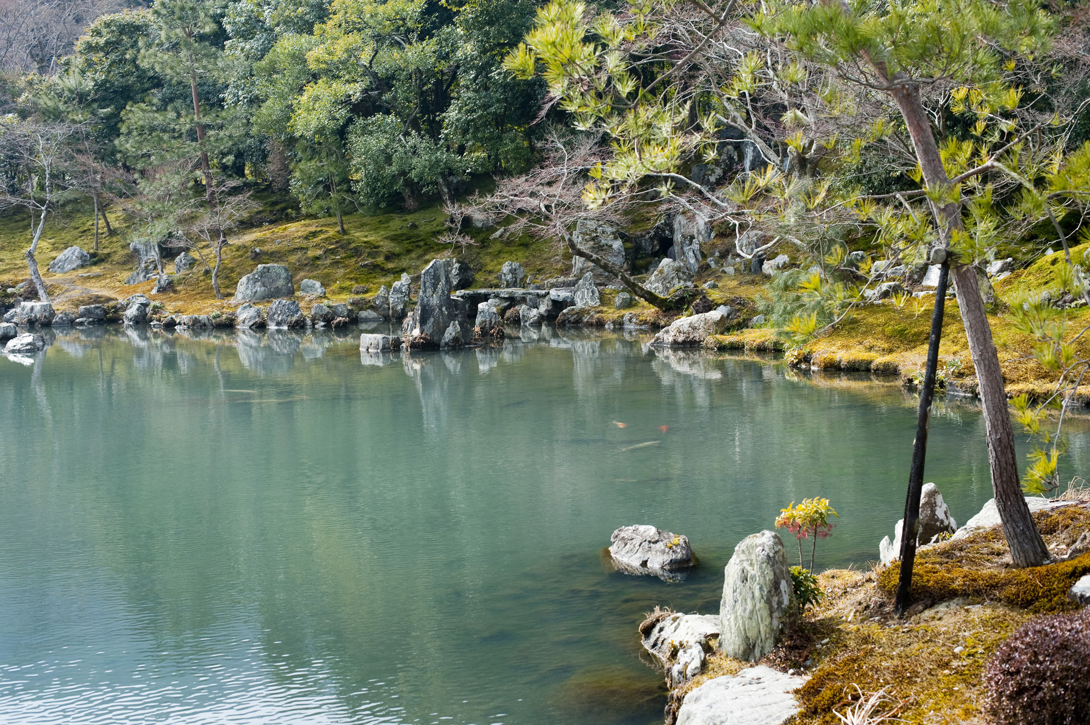 an image of The SoÂgen Pond created by MusÃÂ Soseki, Tenryu-ji temple, kyoto japan
