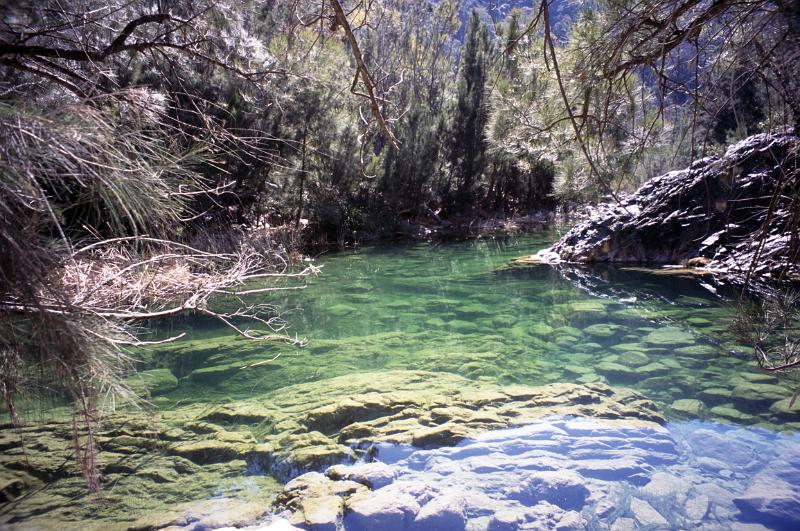 Beautiful Natural Swimming Holes with Clear Water Surrounded by Trees in Bungonia Gorge, Australia