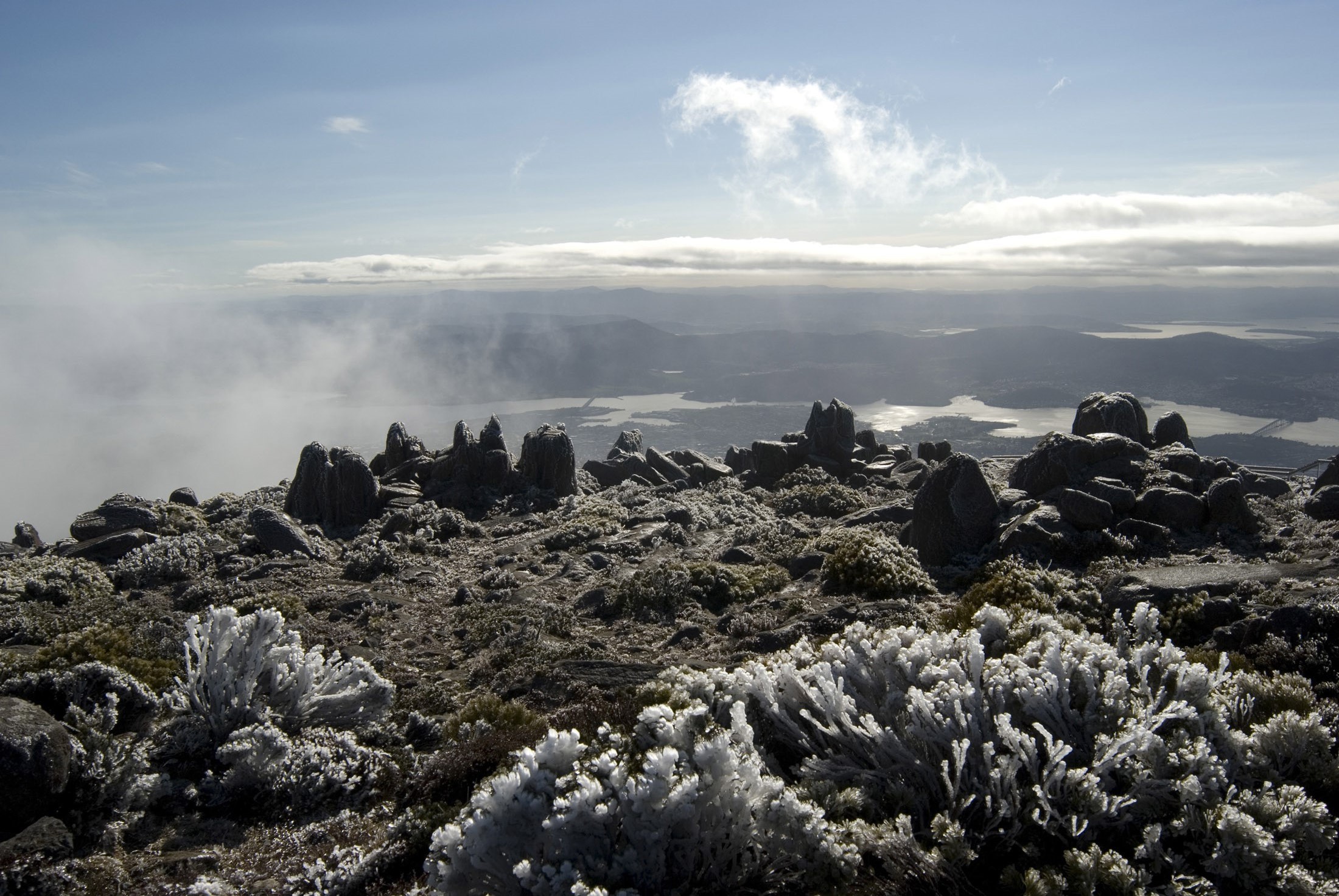an image of frozen plants and dolerite boulders on top of mount wellington in winter