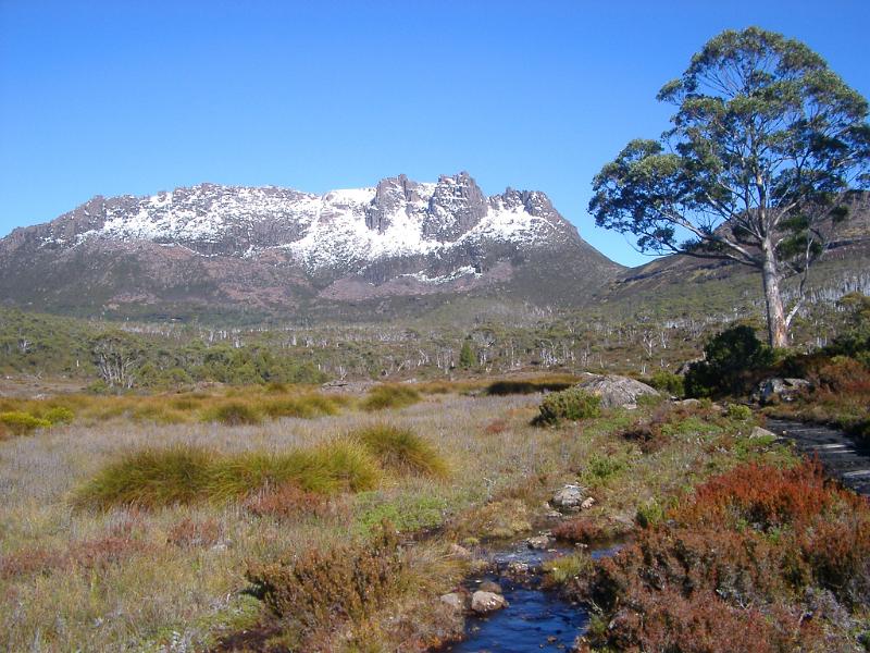 View Looking Towards Snow Capped Mount Ossa, Cradle Mountain-Lake St Clair National Park, Tasmania