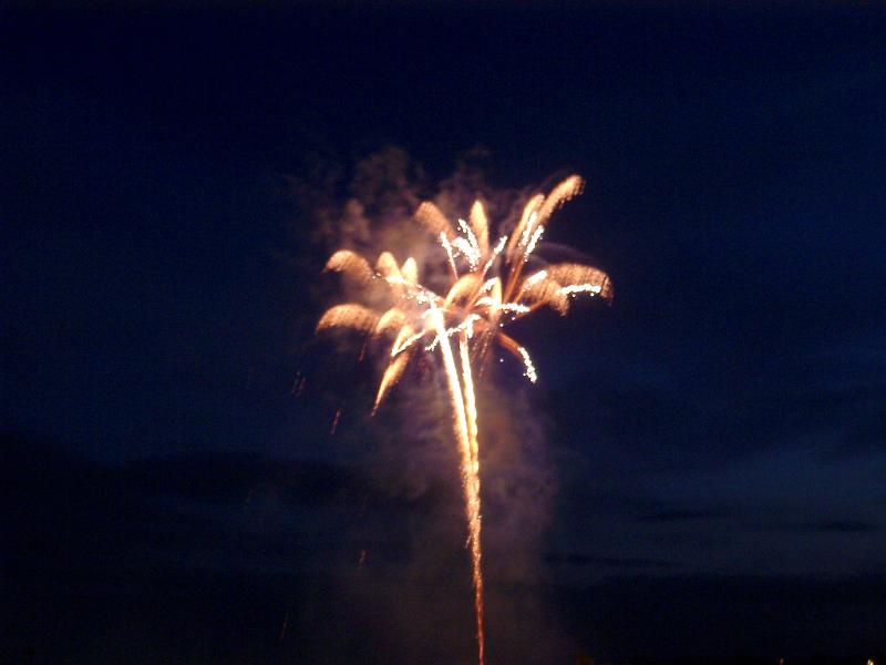 Colorful fireworks exploding in a night sky Colorful fireworks exploding in a night sky as a soaring rocket showers trails of fiery sparks in a festive pyrotechnic display at a celebration