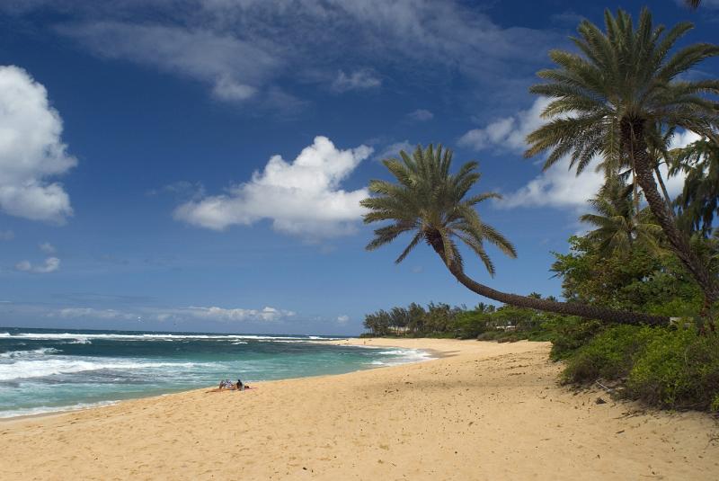 beautiful golden sand and big surf, sunset beach, oahu, hawaii