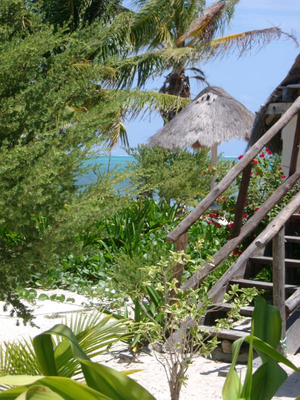 Flight of wooden steps leading up to a beachfront cabana in Mexico with tropical palm trees and a thatched roof