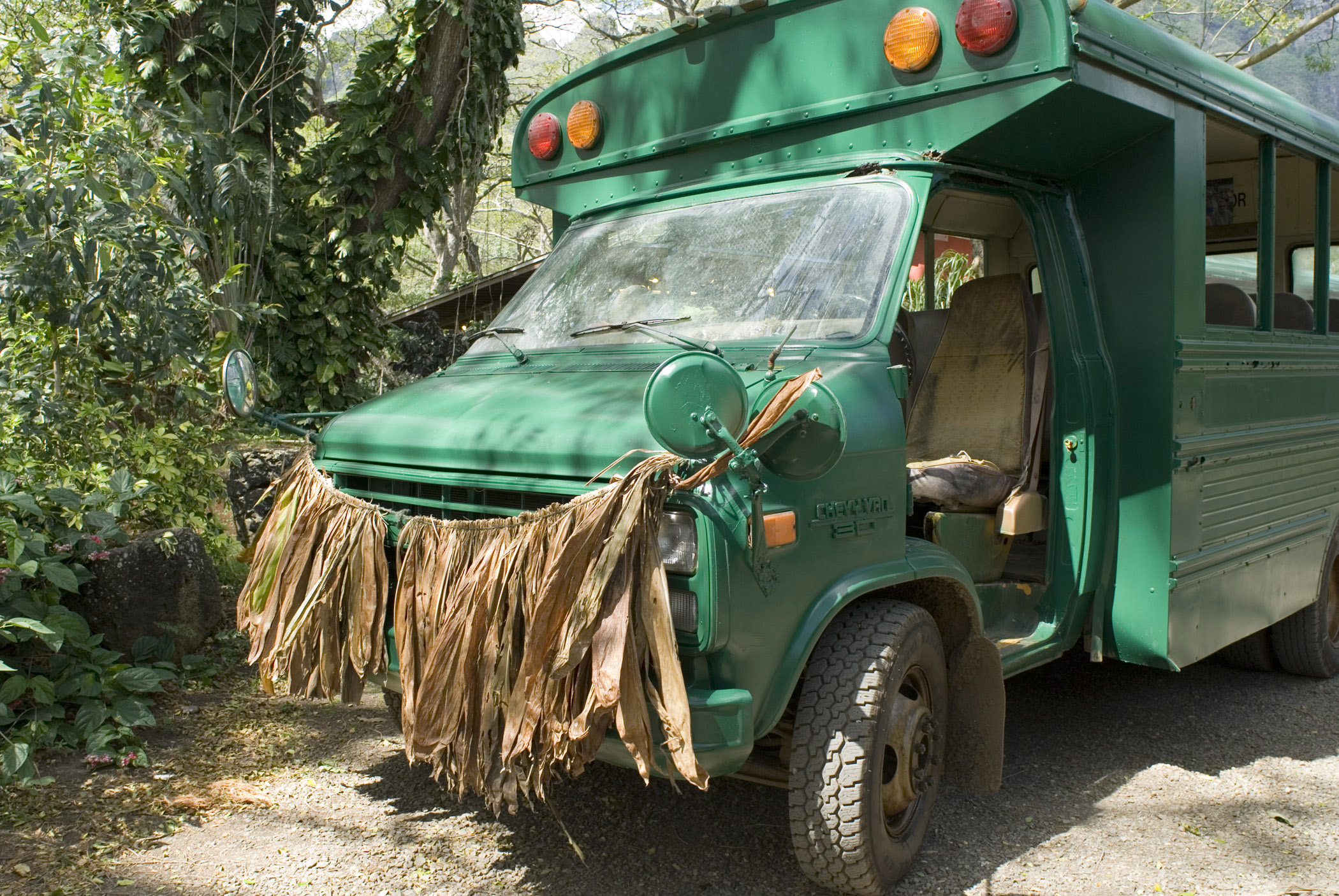 an image of Funny Man Made Grass Skirt on Green Bus. Capture Outdoor on One Fine Day.