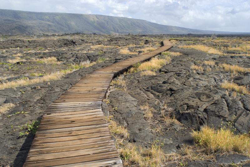 Long Vintage Wooden Puu Loa Petroglyph Boardwalk with Small Grasses Growing on Petroglyph Field.