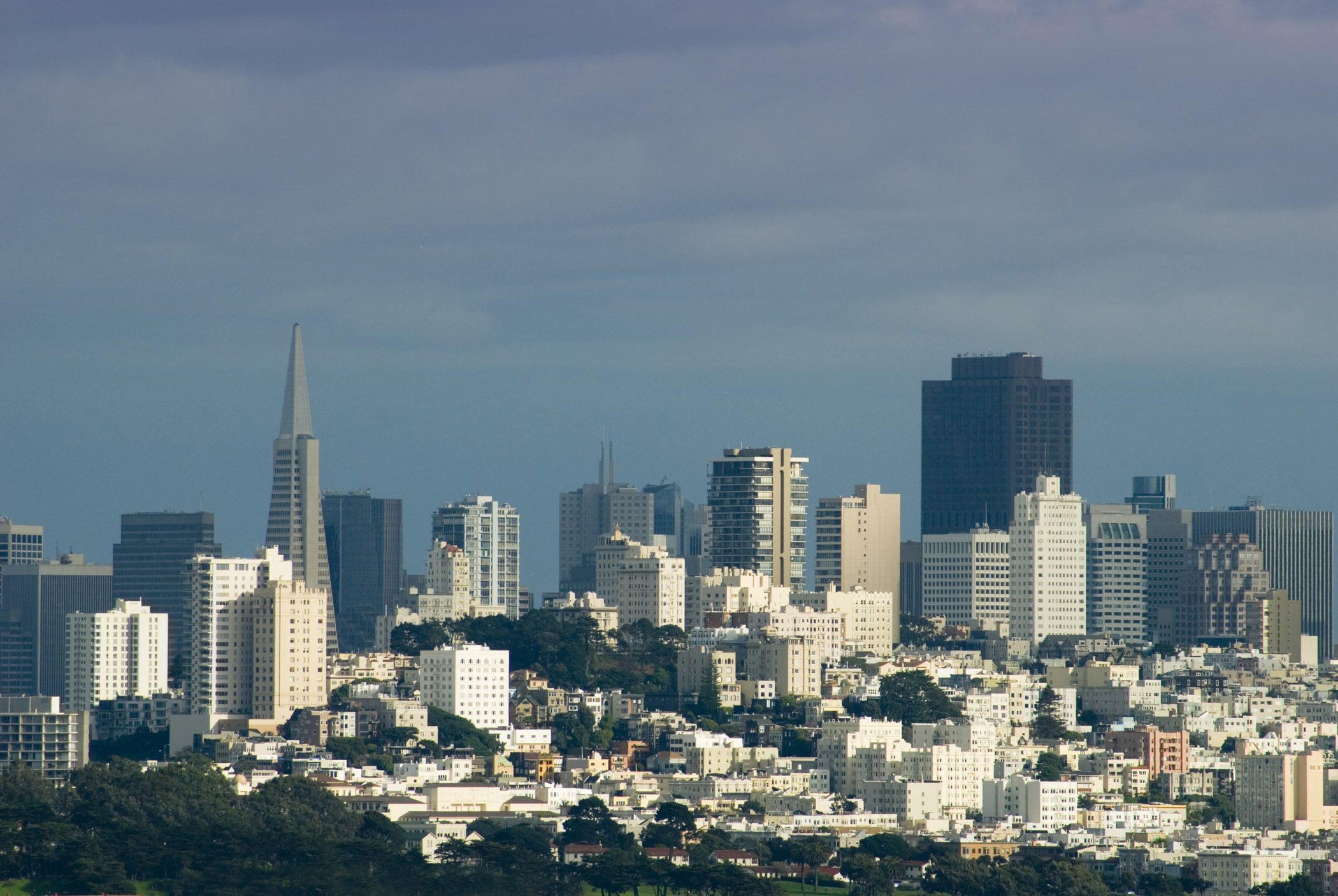 an image of San Francisco skyline and cityscape on a blue sky hazy day showing the modern architecture and skyscrapers of the CBD