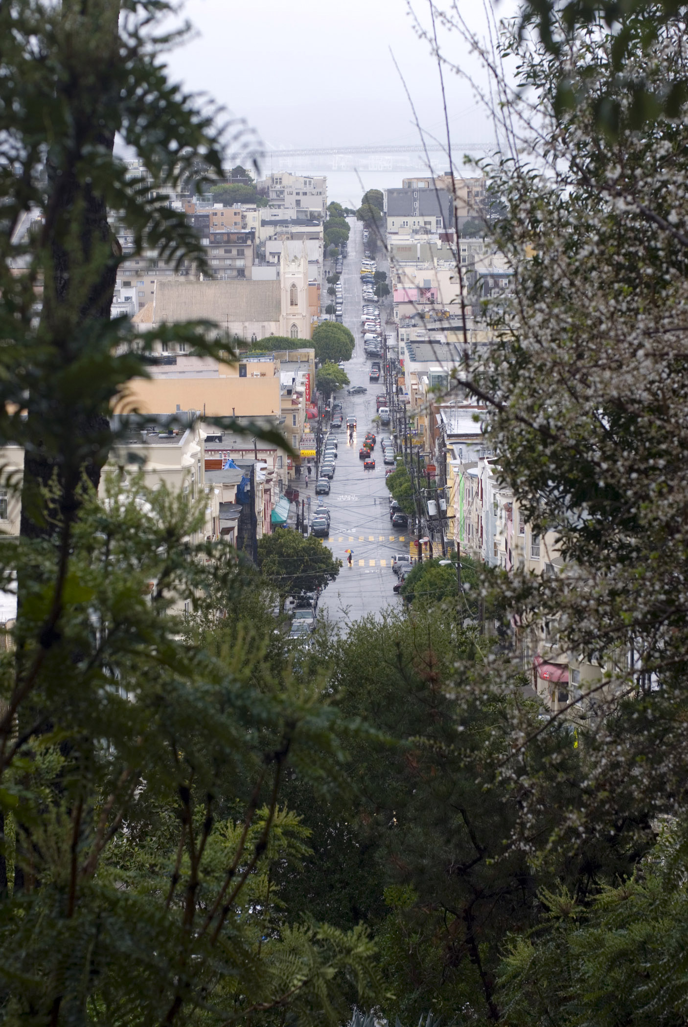 an image of Busy San Francisco Street with Buildings on Side. Captured From Aerial View with Green Trees.