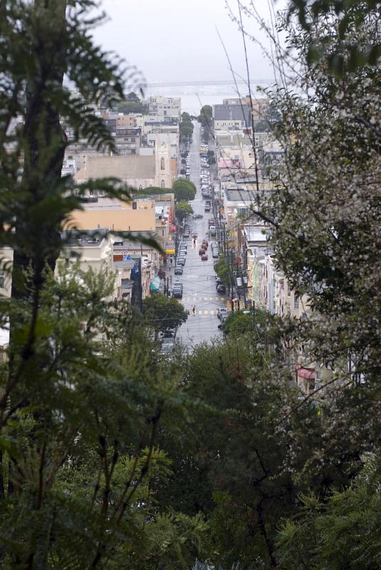 Busy San Francisco Street with Buildings on Side. Captured From Aerial View with Green Trees.