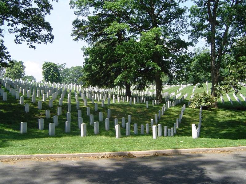 Graves at Grassy Arlington national Cemetery with Tall Green Trees. Isolated on Lighter Blue Sky Background.