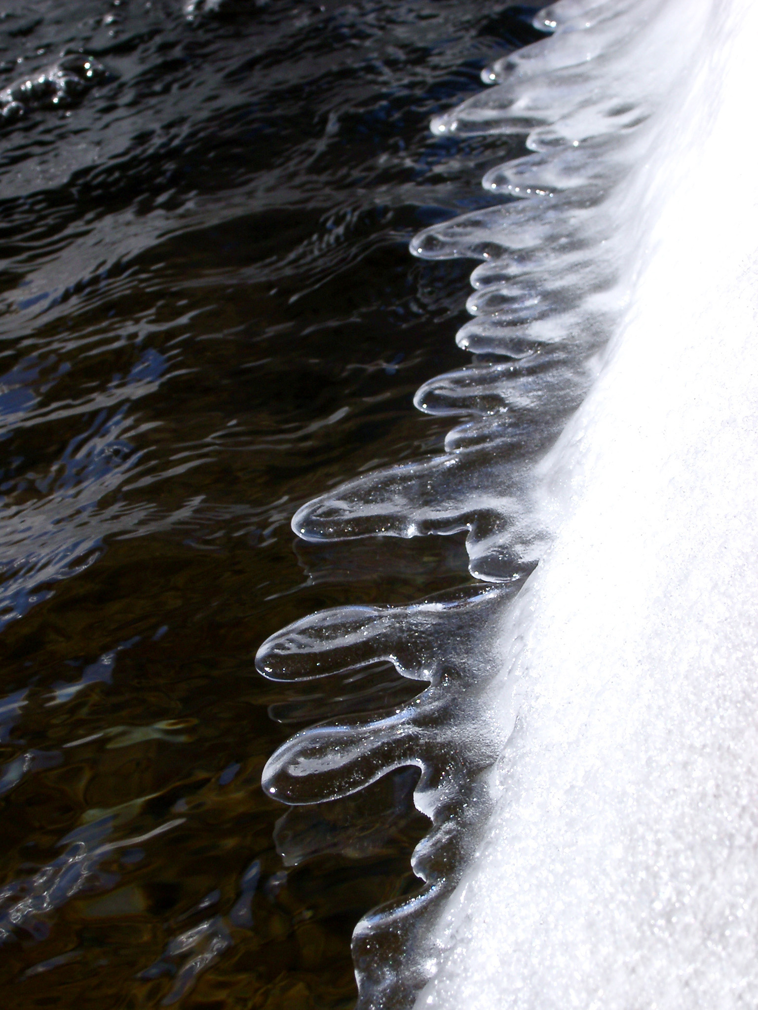 an image of Close up Melting Ice on Water During Winter Holiday Season