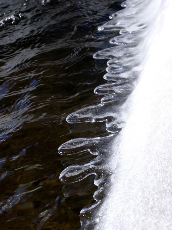 Close up Melting Ice on Water During Winter Holiday Season